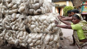 Assam Jute Industries Leading a Global Jute Revolution from India