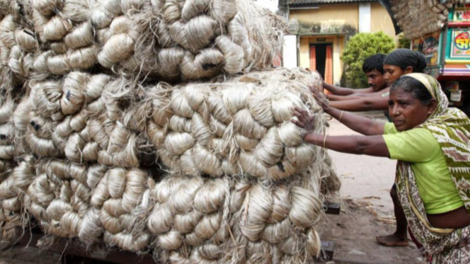 Assam Jute Industries Leading a Global Jute Revolution from India