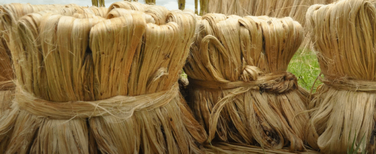 Mitali Jute Creations: Leading the Global Green Revolution with Eco-Conscious Jute Products