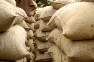 Goa Jute Creations: Weaving a Greener Future with India’s Golden Fiber