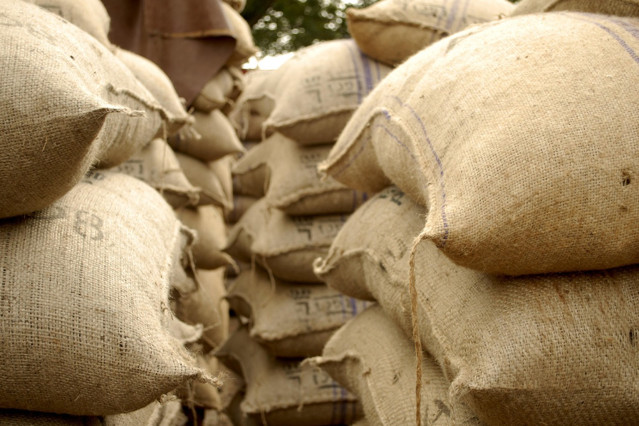 Goa Jute Creations: Weaving a Greener Future with India’s Golden Fiber