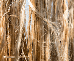 Ganga Jute Mill Pvt. Ltd. | Leading the Global Jute Revolution from Bhagalpur