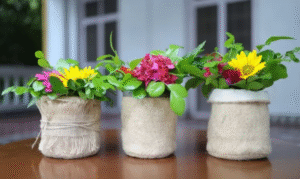 Ludlow Jute & Specialities Ltd.: Weaving a Greener Tapestry for Our Planet