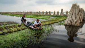 Bafa Bags India Private Limited: Weaving a Greener Future with Jute