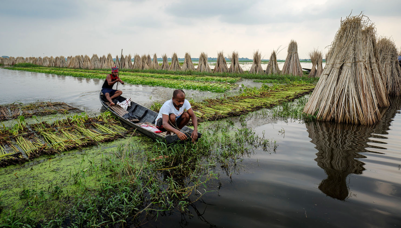 Bafa Bags India Private Limited: Weaving a Greener Future with Jute