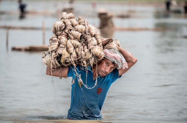 Gloster Limited: Weaving a Sustainable Future with the Golden Fiber