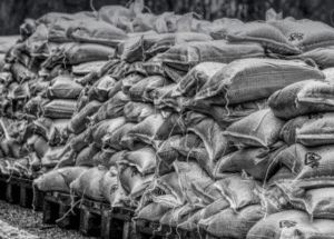 Assam Golden Fibre Jute Park Pvt Ltd: Weaving a Sustainable Future with Jute