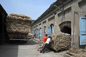 Jabalpur Natural Jute Industries: Weaving an Exceptional Legacy with the Golden Fiber