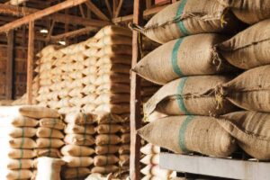 Bangalore Eco Jute Works: Championing a Sustainable Future with Jute