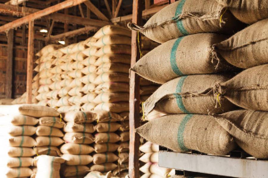 Bangalore Eco Jute Works: Championing a Sustainable Future with Jute