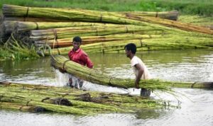 J.J. Jain Pvt. Ltd: The Earth's Enduring Fiber for a Conscious World