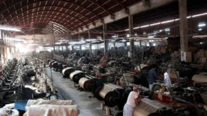 Vedika Traders: The Unseen Artistry of Nature's Golden Thread