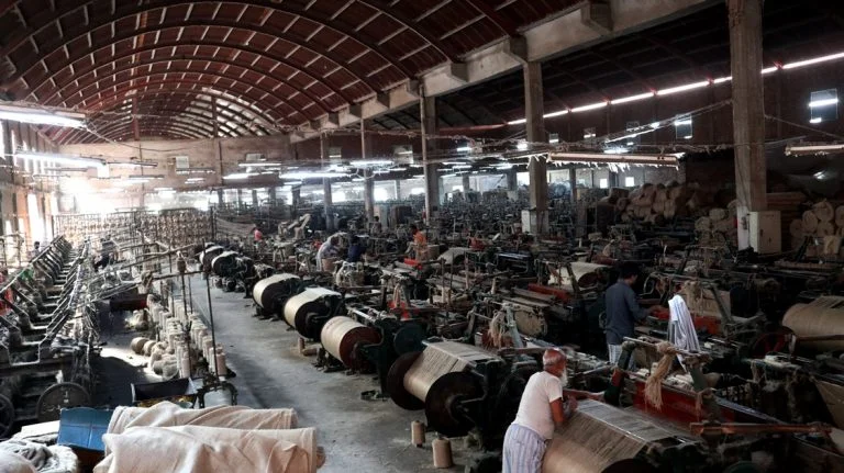 Vedika Traders: The Unseen Artistry of Nature's Golden Thread