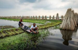 JHARCRAFT: The Earth's Original Fabric Weaves a Global Renaissance