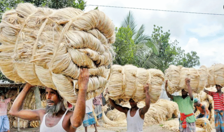 Uma Jute Twine Mills: Weaving a Greener Future with Sustainable Jute Products