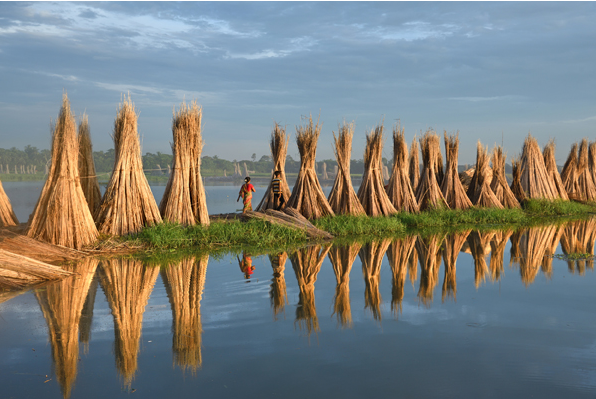 A.S. Jute Product Pvt. Ltd: Weaving a Greener Future with Sustainable Jute