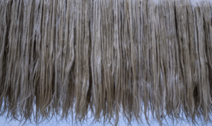 Jute Planet: Weaving a Greener Future with the Golden Fibre