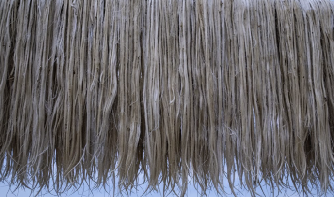 Jute Planet: Weaving a Greener Future with the Golden Fibre