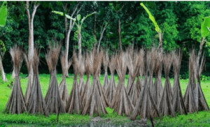 Silk India: Championing the Golden Fibre for a Sustainable World