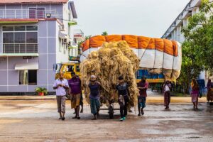 Natural Bags India Pvt Ltd: The Earth's Exceptional Fiber for a Conscious World