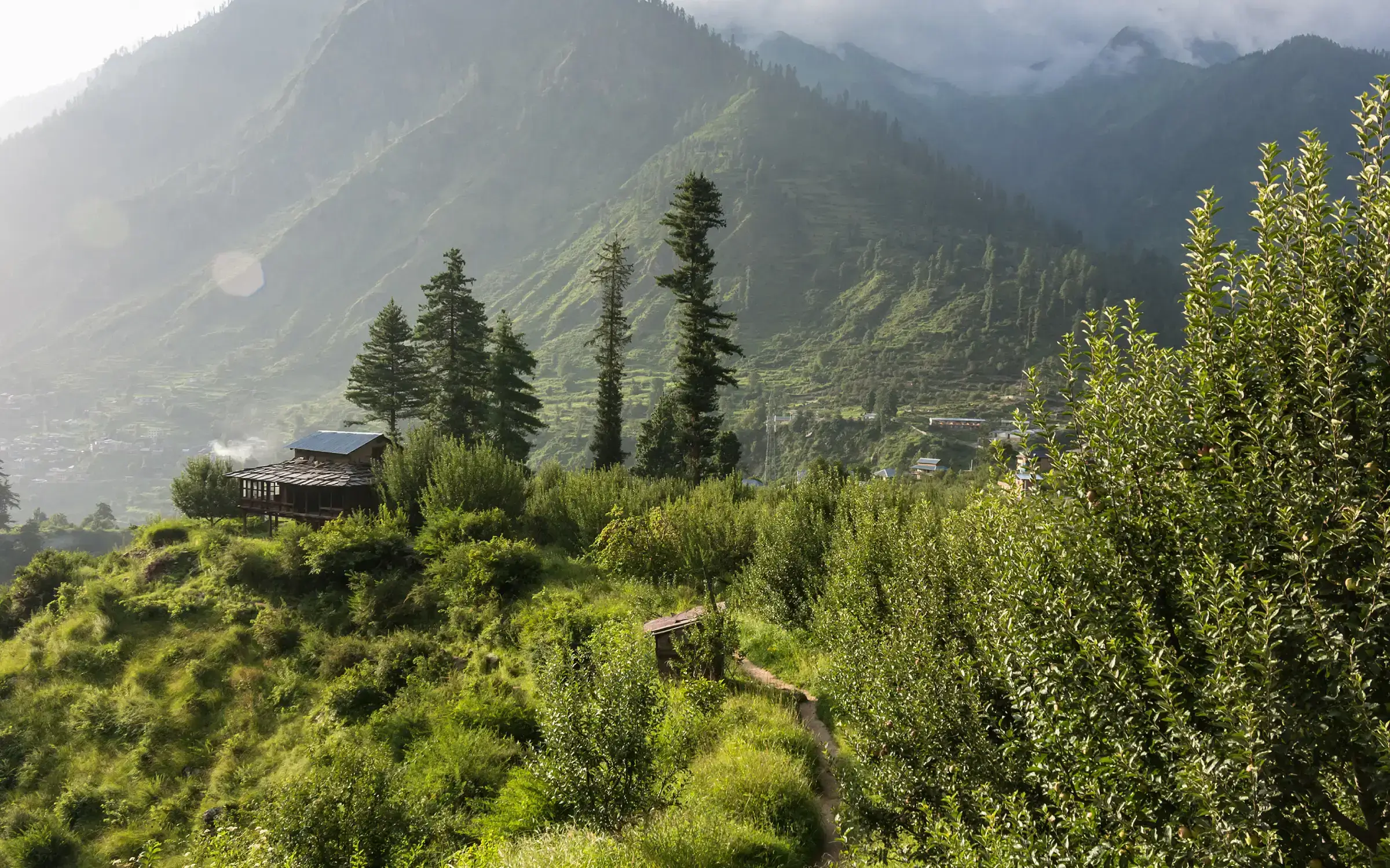 Navdeep Industries: Weaving a Greener Future with the Golden Fiber