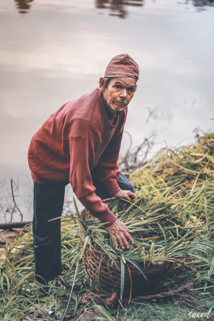 Timeless Textiles Traders: The Earth's Enduring Elegance