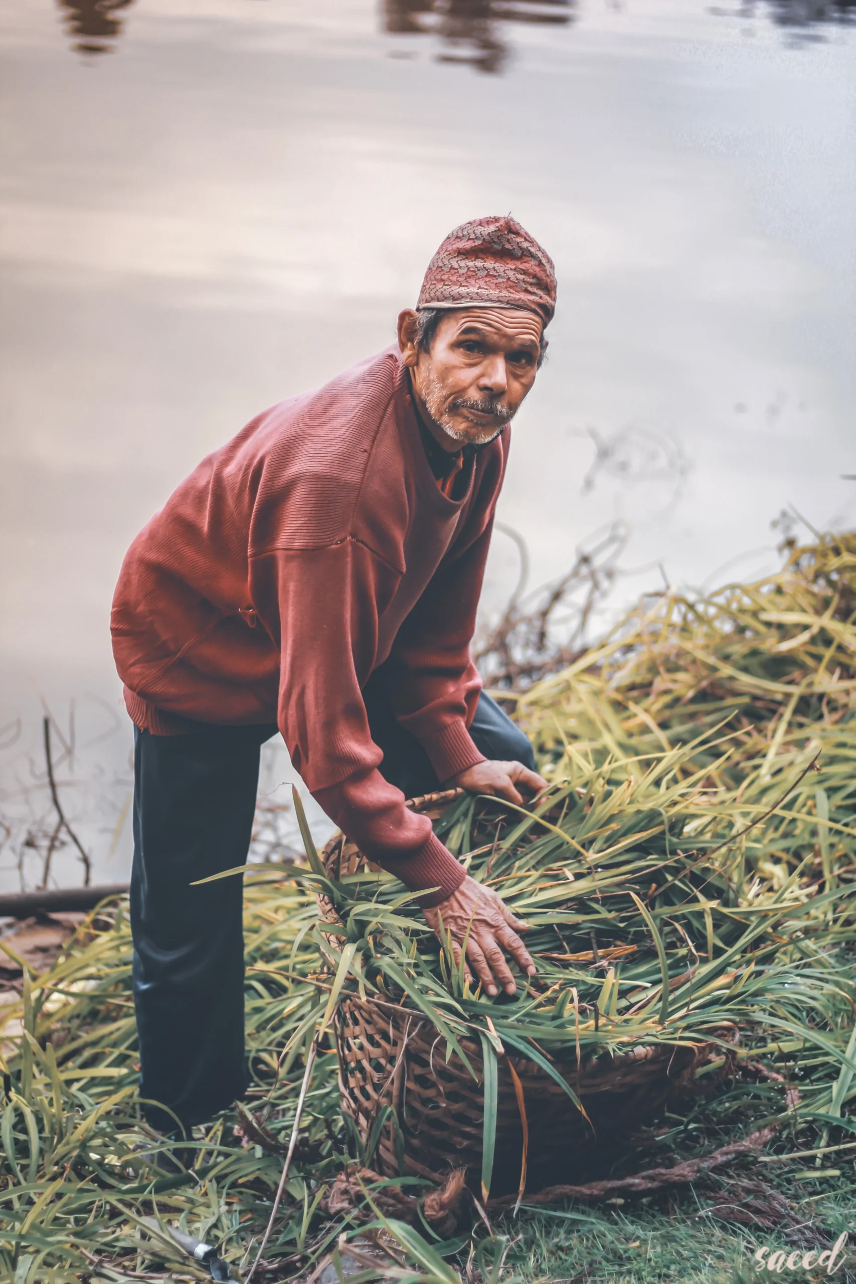 Timeless Textiles Traders: The Earth's Enduring Elegance